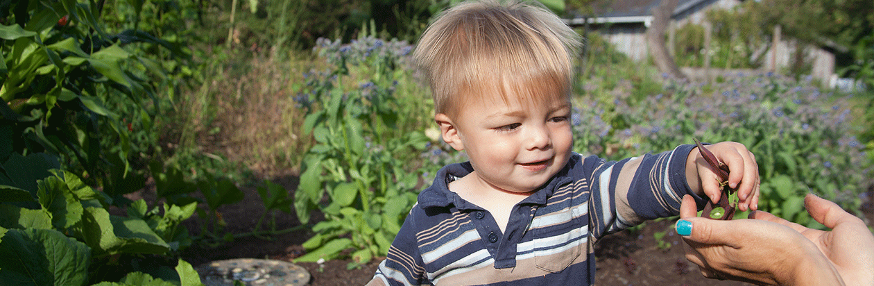 a child places a plant in cupped hands