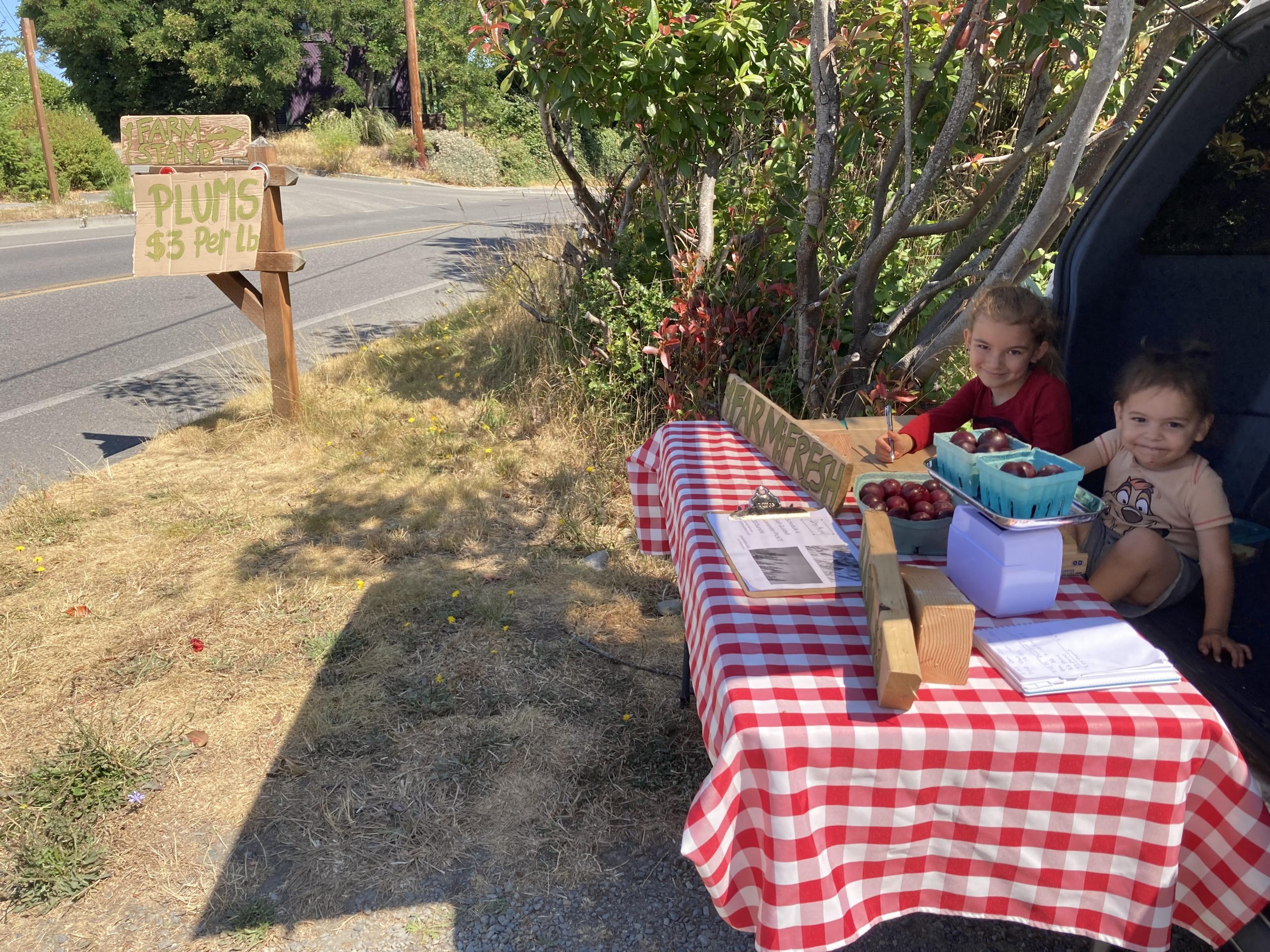 Two children sit at a farm stand table with a sign for plums